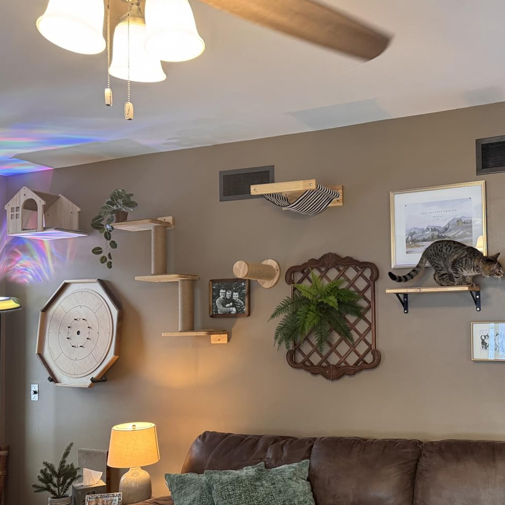Furniture Paradise & Hardware Ghaziabad Reviews - 고양이 가구 원목 매달린 다리 벽걸이형
