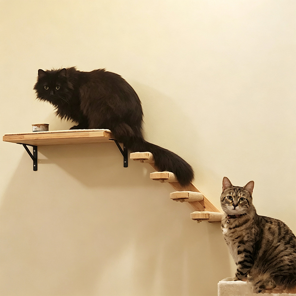 고양이 가구 원목 매달린 다리 벽걸이형 사이잘 고양이  - Furniture Paradise & Hardware Ghaziabad Reviews 리뷰 및 가격