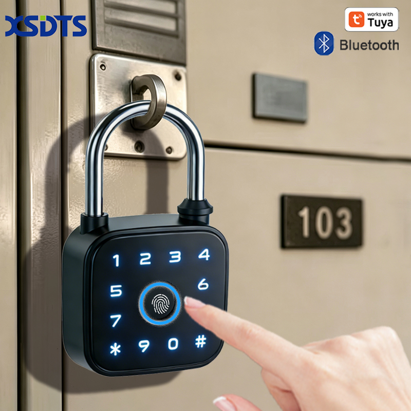 투야 스마트 패드락, 지문 카드 비밀번호 키 투야 앱  - Cabinet Lock Key 리뷰 및 가격